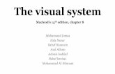 The visual system - medicinebau.com€¦ · Ciliary vessels are also found around cornea causes leads to red eye : 1) Dilation or hemorrhage in these vessels 2) uveitis , in acute