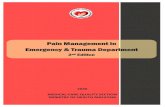 pain manAGEMENT IN EMERGENCY AND TRAUMA ... B. Holistic Pain Management in Triage 11 C. Adult Pain Scenarios