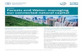 STATEMENT Forests and Water: managing our connected ......STATEMENT Forests and Water: managing our connected natural capital 1 Evapotranspiration (ET) - evaporation from soil and