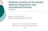 Papillary lesions of the breast: selected diagnostic and ...epathologies.com/acad/presentations/staffs... · Lewis et al.: le risque du cancer du sein associé au papillome atypique