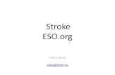 Stroke ESO - neurology.dote.huneurology.dote.hu/2017-2018/IschICHSAHStrokTOK2017Short.pdf · If AF post-stroke •Aspirin is NOT enough---if possible -----AC with –warfarin –or