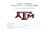 2016 NBQA Market Cow and Bull - Meat Sciencemeat.tamu.edu/files/2016/01/Live-Animal-Booklet.pdf · Abscess A collection of pus in confined tissue spaces.a Lumpy Jaw A localized abscess