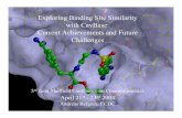 Exploring Binding Site Similarity with CavBase: Current ... · Exploring Binding Site Similarity with CavBase: Current Achievements and Future Challenges 3rd Joint Sheffield Conference