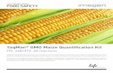 TaqMan GMO Maize Quantification Kit - UAB Barcelona · TaqMan® GMO Maize Quantification Kit PN. 4481972, 48 reactions TaqMan® GMO Maize Quantification Kit, uses Real-Time PCR technology