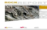 Quarterly Newsletter of the Institute of Rock Mechanics and ...Goodman & Shi. Institute’s scientific history - II kluckner@tugraz.at 5 Rock Report 03 / 2020 Research Overview Two