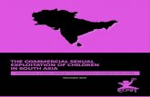 THE COMMERCIAL SEXUAL EXPLOITATION OF CHILDREN IN … · SECTION 3. ADDRESSING COMMERCIAL SEXUAL EXPLOITATION OF CHILDREN IN SOUTH ASIA: INSTITUTIONALISING CSEC SYSTEMS AND STRENGTHENING