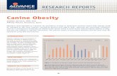 et al Canine Obesity yes F homemade no · metabolic changes from excess fat (with increasing secretion of inflammatory adipocytokines). Life expectancy Several pathologies have a