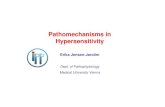 New Pathomechanisms in Hypersensitivity · 2010. 10. 15. · Allergen dimers-oligomers-multimers ABA 1 (Ascaris) McGibbon et al. Mol Biochem Parasitol. 39: 163. 1990. Tropomyosin