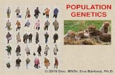 POPULATION GENETICS - VFUevolution2019.pdfsynthesis with Mendelian genetics and population genetics population is important (variable gene pool, continues in time), individual is not