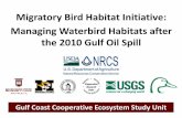 Migratory Bird Habitat Initiative: Managing Waterbird ......Waterfowl densities (ducks and coots/ha) in 1 production catfish site in Mississippi during winters 1984-1985, 1985-1986,