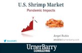 U.S. Shrimp Market - js.undercurrentnews.com€¦ · Shrimp. Retail. Therefore, we believe we will continue to rely heavily on retail sales Retail Promotions, SEAFOOD. Retail Promotions,