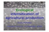 Ecological intensification of agricultural production · Intensification of an extensive agricultural system: Wheat in Australia EXAMPLES OF INTENSIFICATION From R. A. Fischer, 2009