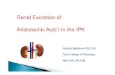 Mariana Babayeva MD, PhD Touro College of Pharmacy, New ......Chinese herbs nephropathy Herbal remedies AA-I is an organic anion eliminated by the kidney Produces nephrotoxic effect
