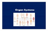 Organ Systemsmrblanchard.weebly.com/.../0/7/2/10729789/organ_systems.pdf · 2018. 9. 6. · Microsoft PowerPoint - Organ Systems [Compatibility Mode] Author: Heather Created Date: