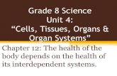 Grade 8 Science Unit 4: “Cells, Tissues, Organs & Organ ...bethpowerhomework.weebly.com/uploads/1/4/9/3/... · Grade 8 Science Unit 4: “Cells, Tissues, Organs & Organ Systems”