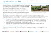 Innovation Lab for Small Scale Irrigation (ILSSI) · Tanzania. A project note with guidelines on gender-responsive irrigation was produced as a result of these workshops. In addition,