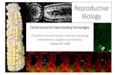 Plant Reproduction: Fertile Ground for New Breeding Technologies · 2018. 2. 15. · 3 Haploids & doubled haploids • Haploid individuals have the gametic chromosome number (n) in
