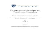 Compressed Sensing on Terahertz Imaging · Compressed Sensing on Terahertz Imaging Thesis submitted in accordance with the requirements of the University of Liverpool for the degree