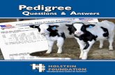 Pedigree Questions and Answers - Hoard's Dairyman · 3 What is a pedigree? A.pedigree.is.a.record.of.an.animal’s.ancestry,.and.is.always.set.up.in.the.same.format..Information.
