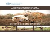 Ethiopia Climate-Smart Agriculture Scoping Study · BOA Bureau of Agriculture ... SNNPR Southern Nations, Nationalities and People’s Region SOC soil organic matter content TVET