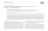 Review Article Tumor-Associated Macrophages and ...downloads.hindawi.com/journals/mi/2016/6058147.pdf · Tumor-Associated Macrophages and Neutrophils in Tumor Microenvironment JaehongKim