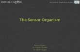 The Sensor Organism · 2015. 9. 25. · York Centre for Complex System Analysis 11 of 26 • Sensor drivers collect, preprocess and emit sensor readings into the intercellular space.