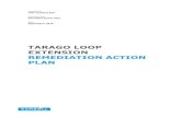 TARAGO LOOP EXTENSION REMEDIATION ACTION ......Remedial Action Plan 11 4.1 Remediation Goal 11 4.2 Waste Streams and Extent of Remediation Required 11 4.3 Remedial Options Assessment