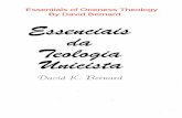 Essentials of Oneness Theology By David Bernard · 2017. 11. 22. · $50 Batista do Sul, descreveu a deidade de Cristo em termos idknticos aos usados pelos unicistas nos seus Serm6es