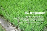 IX. Irrigation · Kekurangan air : perakaran serabut ++ di kedalaman tanah, tanaman kerdil, produksi rendah Kelebihan air : mengurangi aerasi tanah, meningkatkan pencucian hara &