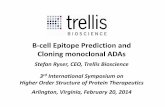 B-cell Epitope Prediction and Cloning monoclonal ADAs€¦ · (ADA) Feasible and superior solution to an FDA / industry concern for protein therapeutics De-immunized proteins offer