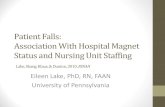 Patient Falls: Association With Hospital Magnet Status and ... · •Hospital Magnet status. NDNQI Database Complexity •667 hospitals and 7,920 nursing units in 2004 •Four raw