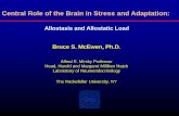 Central Role of the Brain in Stress and Adaptationdose-response.org/wp-content/uploads/2014/06/McEwen-2013-dose … · autonomic response Overactivity in anxiety disorders and depression
