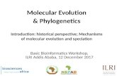 Molecular Evolution & ... Molecular Evolution & Phylogenetics Introduction: historical perspective;