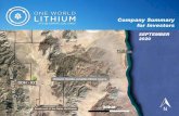 One World Lithium · 2020. 9. 10. · One World Lithium COMPARISON CHART OTC:QB (OWRDF), CSE: (OWLI) COMPANY SHARE PRICE MARCH 6, 2020 SHARE PRICE AUGUST 24, 2020 % CHANGE Neo Lithium