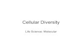 Cellular Diversity - Weeblychssciencedavis.weebly.com/uploads/2/5/1/5/25154042/...Diversity of Cellular Life Unicellular Organism Bacteria Archaea Multicellular Organism Cell Specialization