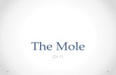 The Mole - Weebly€¦ · mole Avogadro’s number • Main Idea - Chemists use the mole to count atoms, molecules, ions, and formula units. • NOTE –YOU WILL NEED A SCIENTIFIC