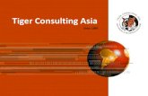 Tiger Consulting Asiatiger/documents/about_tiger...•Pay slip creation •Banking of employee net salary •Withholding •tax •Social Security •Provident Fund •Workmen’s