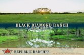 BLACK DIAMOND RANCH - Black Diamond Ranch is a Located 45 minutes north of College Station. The Black Diamond Ranch is high fenced with Harl Creek running through the property with
