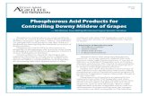 Phosphorous Acid Products for Controlling Downy Mildew of Grapes · 2018. 11. 13. · EHT-012 4/13 Phosphorous Acid Products for Controlling Downy Mildew of Grapes — Fritz Westover,