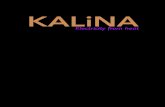 KALINA POWER LIMITED AND ITS CONTROLLED ENTITIES Annual Report...KALINA POWER LIMITED AND ITS CONTROLLED ENTITIES ACN 000 090 997 Annual Report to Shareholders for the financial year