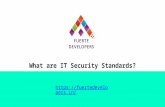 What are IT Security Standards?