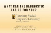WHAT CAN THE DIAGNOSTIC LAB DO FOR YOU?faculty.missouri.edu/limt/pdf/4 VMDL Food Animal2019.pdf · Leptospira, Neospora caninum. BOVINE TESTING . Testing for BVD-PI animals: Molecular-