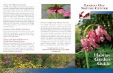 About the Habitat Gardens: EHIGH AP In 2006, ˜e Lehigh Gap … · wildﬂower Aster, Maryland Chrysopsis mariana Golden wildﬂower Aster, Snow ﬂurry Aster ericoides wildﬂower