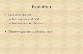 Mosquitoes and DDT · reptiles • Adaptive Radiation: Rapid evolution of species from a common ancestral stock . Mass Extinctions: Cretaceous-Tertiary •Cretaceous - Tertiary Extinction