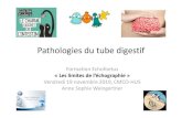 Pathologies du tube digestif - CHRU Strasbourg du...– Ascite – Anomalies de calibre et obstacles – Malformations anorectales ? – Malrotation ? – La vésicule biliaire –