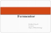 Fermentor - ST.ANN'S COLLEGE FOR WOMENstannscollegehyd.com/department/wp-content/uploads/2018/08/Fer… · and foaming during fermentation and downstream processing stages. 5 The