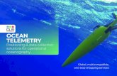OCEAN TELEMETRY€¦ · OCEAN FLEET MANAGEMENT TOOL Position visualization of an unlimited number of oceanographic platforms using both Argos and Iridium telemetry systems Visualize