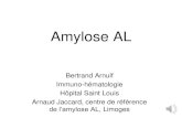 Amylose ALaihemato.cluster013.ovh.net/AIH/documents/Cours DES/DES...Amylose AL 90% prolifération plasmocytaire IgG, IgA, caînes légères seules (50% des cas) Translocation t(11;14)