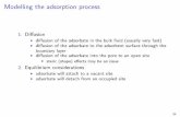 Modelling the adsorption process Modelling the adsorption process 1. Di usion I di usion of the adsorbate