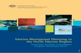 Marine Bioregional Planning in the North Marine Region – …environment.gov.au/.../files/north-submissions-overview.pdf · 2. Consultation activities in the North Marine Region